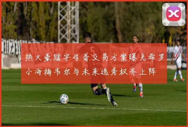 热火豪赌字母哥交易方案曝光希罗小海梅韦尔与未来选秀权齐上阵