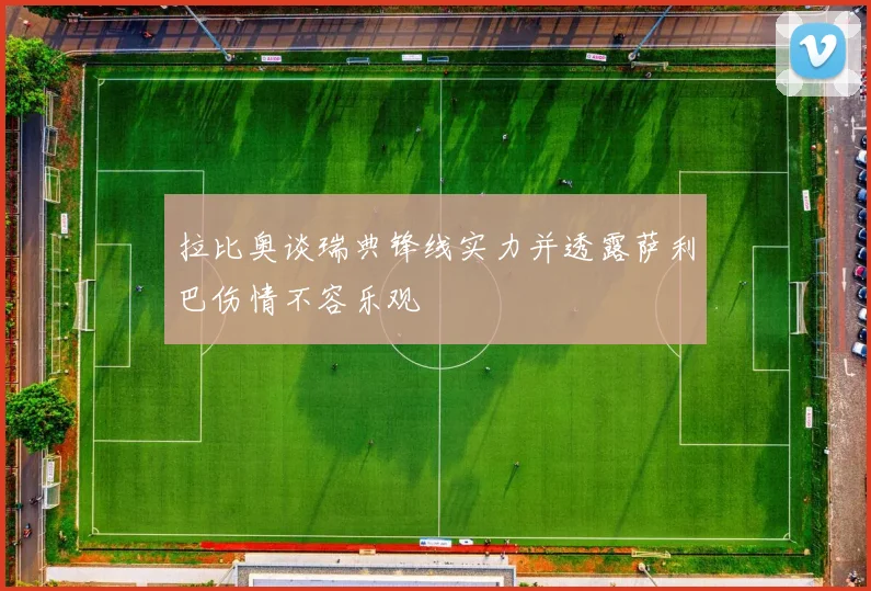 拉比奥谈瑞典锋线实力并透露萨利巴伤情不容乐观